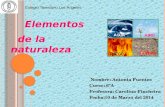 Nombre: Antonia Fuentes Curso: 6ºA Profesora: Carolina Pincheira Fecha:10 de Marzo del 2014 Elementos de la naturaleza Colegio Teresiano Los Ángeles.