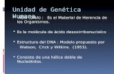 Unidad de Genética Humana  ADN (DNA) : Es el Material de Herencia de los Organismos.  Es la molécula de ácido desoxirribonucleíco  Estructura del DNA.
