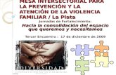 MESA INTERSECTORIAL PARA LA PREVENCIÓN Y LA ATENCIÓN DE LA VIOLENCIA FAMILIAR / La Plata Jornadas de Fortalecimiento: Hacia la consolidación del espacio.