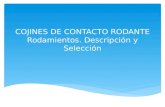 COJINES DE CONTACTO RODANTE Rodamientos. Descripción y Selección.