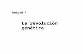 La revolución genética Unidad 4. 1 4.1. Historia de la genética Desde la prehistoria, el ser humano ha sido consciente de que los organismos vivos transmiten.