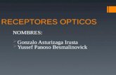 RECEPTORES OPTICOS NOMBRES:  Gonzalo Asturizaga Irusta  Yussef Panoso Besmalinovick.