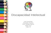 Discapacidad Intelectual Zoé Hernández Arisnalda Taveras Prof. Cynthia García EDUC 413 Taller #4.