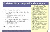 Transmisión de Datos Multimedia - Master IC 2006/2007 Codificación y compresión de imagen  1. Introducción.  2. Características de la imagen.  2.1 Captura.