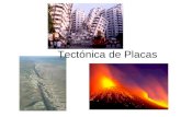 Tectónica de Placas. ¿Qué es la Tectónica de Placas? La Teoría de Tectónica de Placas puede resumirse en los siguientes puntos: La superficie de la Tierra.