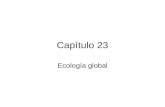 Capítulo 23 Ecología global. La Tierra como un sólo ecosistema.