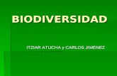 BIODIVERSIDAD ITZIAR ATUCHA y CARLOS JIMÉNEZ. ¿Qué es la Biodiversidad?  En la Cumbre de Río de Janeiro (1992) se definió este término agrupando tres.