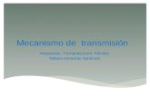 Mecanismo de transmisión Integrantes : Fernanda leuro Méndez Tatiana contreras Sandoval.