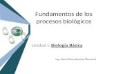 Fundamentos de los procesos biológicos Unidad I: Biología Básica Ing. María Elena Ramírez Chavarría.
