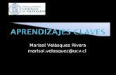 Marisol Velásquez Rivera marisol.velasquez@ucv.cl.