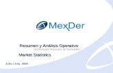 Julio 2009 June 2009 Resumen y Análisis Operativo del Mercado Mexicano de Derivados Market Statistics Julio / July 2009.