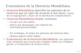 Herencia Mendeliana describe los patrones de la herencia que se rigen de acuerdo a dos leyes: Leyes de la segregación y leyes de la distribución independiente.