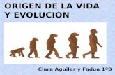 ORIGEN DE LA VIDA Y EVOLUCIÓN Clara Aguilar y Fadua 1ºB.