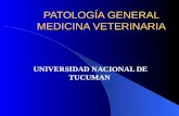 PATOLOGÍA GENERAL MEDICINA VETERINARIA UNIVERSIDAD NACIONAL DE TUCUMAN.