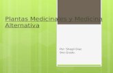 Plantas Medicinales y Medicina Alternativa Por: Shegli Diaz 9no Grado.