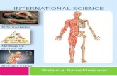 INTERNATIONAL SCIENCE Sistema OsteoMuscular Enfermedades Medidas de prevención Artículos Extras.