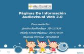 Páginas De Información Audiovisual Web 2.0 Presentado Por: Sandra Patiño Pico ID:217835 Marly Forero Meneses ID:470739 Marcela Heredia ID:488038.