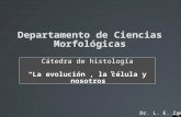 Departamento de Ciencias Morfológicas Cátedra de histología “La evolución, la célula y nosotros” Dr. L. E. Zamora V.