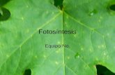 Fotosíntesis Equipo No.. ¿Qué es la fotosíntesis? La fotosíntesis es el proceso por el cual las plantas verdes, las algas y algunas bacterias utilizan.