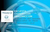 ENCUESTA COOPERATIVA IMAGINACCION Evaluación del Sistema Educacional en Chile 29 noviembre 2010.