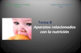 Tema 8 Aparatos relacionados con la nutrición Centro Educación Adultos Ávila Ámbito Científico-Tecnológico Nivel 3.