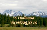 T. Ordinario DOMINGO 16 T. Ordinario DOMINGO 16 “ SALMO (22) SALMO (22) El Señor es mi pastor, nada me falta. El Señor es mi pastor, nada me falta.