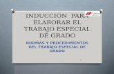 INDUCCIÓN PARA ELABORAR EL TRABAJO ESPECIAL DE GRADO NORMAS Y PROCEDIMIENTOS DEL TRABAJO ESPECIAL DE GRADO 1.