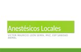 Anestésicos Locales VICTOR MAURICIO LEÓN SERPA, MVZ, ESP SANIDAD ANIMAL.