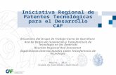 Iniciativa Regional de Patentes Tecnológicas para el Desarrollo CAF Encuentro del Grupo de Trabajo-Carta de Querétaro Red de Redes de Innovación y Transferencia.
