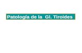 Patología de la Gl. Tiroides. Estado funcional Cel foliculares Coloide Vasos conectivos.