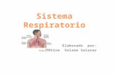 Elaborado por: Katherine Solano Salazar. SISTEMA RESPIRATORIO La respiración es un proceso involuntario y automático, en que se extrae el oxigeno del.