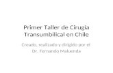 Primer Taller de Cirugía Transumbilical en Chile Creado, realizado y dirigido por el Dr. Fernando Maluenda.