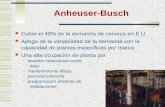 Anheuser-Busch  Cubre el 40% de la demanda de cerveza en E.U.  Apego de la variabilidad de la demanda con la capacidad de plantas específicas por marca.