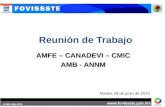 Reunión de Trabajo AMFE – CANADEVI – CMIC AMB - ANNM Martes 29 de junio de 2010.