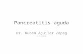 Pancreatitis aguda Dr. Rubén Aguilar Zapag I.P.S 2010.