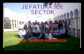 JEFATURA DE SECTOR AREA TECNICO-PEDAGOGICA. MISION Somos una Dependencia federalizada vinculada directamente entre la Secretaría de Educación Pública.
