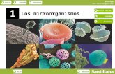 INICIOESQUEMARECURSOS Biología Los microorganismos SALIRANTERIOR 16 Los microorganismos NOTICIA INICIAL ESQUEMA RECURSOS.