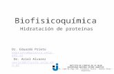 Biofisicoquímica Hidratación de proteínas I NSTITUTO DE C IENCIAS DE LA S ALUD U NIVERSIDAD N ACIONAL A RTURO J AURETCHE Av. Lope de Vega 106, Florencio.