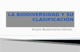 Álvaro Bustamante Gómez.  La biodiversidad es la gran cantidad de seres vivos que hay en el planeta. Cada especie se ha ido adaptando a las condiciones.