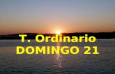 T. Ordinario DOMINGO 21 T. Ordinario DOMINGO 21 SALMO (33) SALMO (33) Gustad y ved qué bueno es el Señor. Gustad y ved qué bueno es el Señor.
