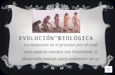 EVOLUCIÓN BIOLÓGICA La evolucion es el proceso por el cual una especie cambia sus habilidaes o desarrolla nuevas para sobrevivir en su entorno.