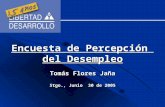 Tomás Flores Jaña Stgo., Junio 30 de 2005 Encuesta de Percepción del Desempleo.