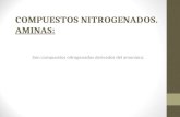 COMPUESTOS NITROGENADOS. AMINAS: Son compuestos nitrogenados derivados del amoniaco.