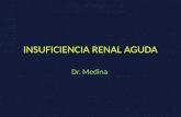 INSUFICIENCIA RENAL AGUDA Dr. Medina. INSUFICIENCIA RENAL AGUDA El indicador mas frecuente de la presencia de insuficiencia renal aguda es la.