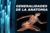 Page 1 GENERALIDADES DE LA ANATOMIA. Page 2 Anatomía: Del griego Anatome “Disección”, Rama de la medicina que se encarga del estudio de las estructuras.