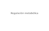 Regulación metabólica. Rutas metabólicas Serie de reacciones enzimáticas consecutivas que dan lugar a un producto en específico. Los reactantes, intermediarios.