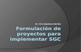 Dr. Ciro Espinoza Montes 1. Contenido  Proceso de implementación de ISO 9000  Ciclo de Deming  Formulación de proyectos sistémicos 2Dr. Ciro Espinoza.