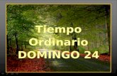Tiempo Ordinario DOMINGO 24 Tiempo Ordinario DOMINGO 24.