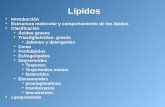 Lípidos Introducción Introducción Estructura molecular y comportamiento de los lípidos Estructura molecular y comportamiento de los lípidos Clasificación.