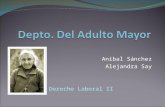 Anibal Sánchez Alejandra Say Derecho Laboral II. Visión Dirigir los programas de beneficio social dirigidos al adulto mayor a través de una administración.